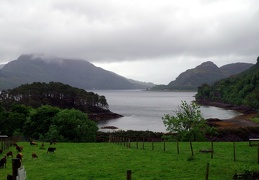 IMGP0938.JPG