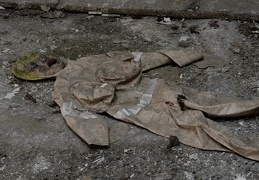 IMGP1391.jpg